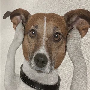 Meet your Posher, Daija